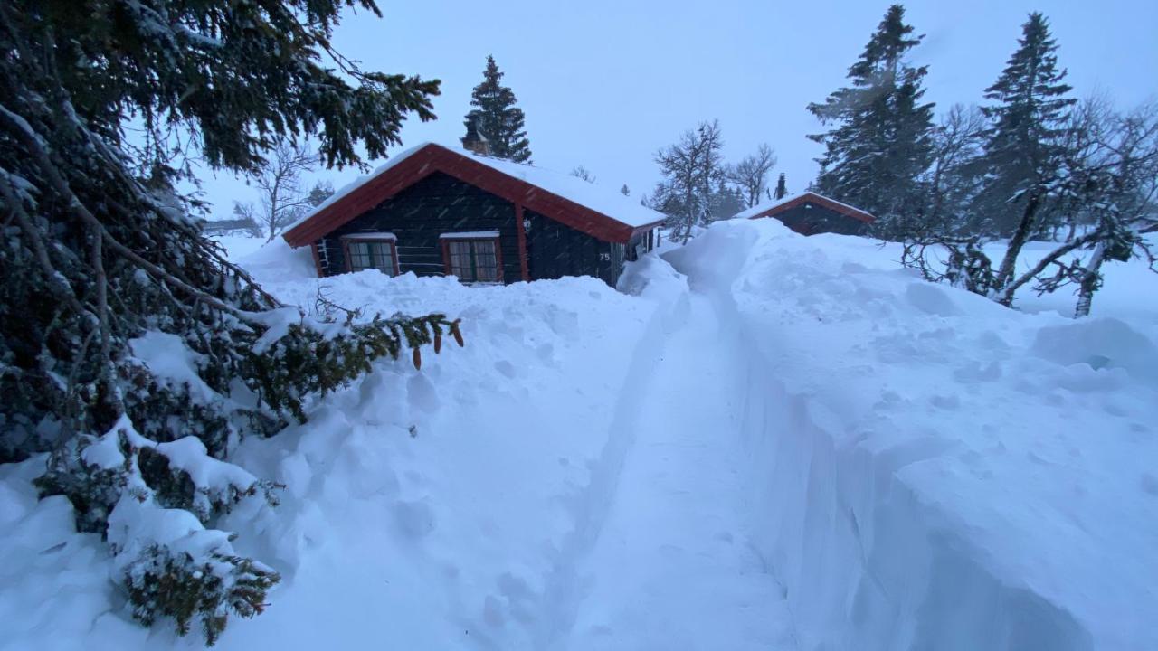 Bjerkely, Sjusjoen Villa Exterior photo